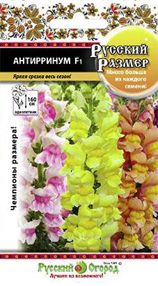 Антирринум Русский Размер смесь (Львиный зев) 15шт