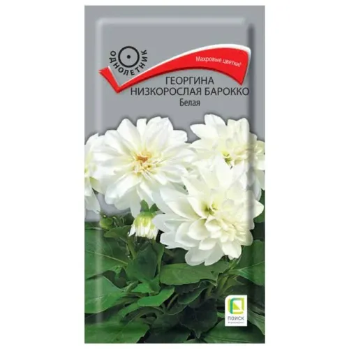 Георгина Барокко Белая 0,1г