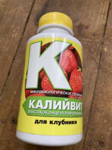 Лук репчатый Агро