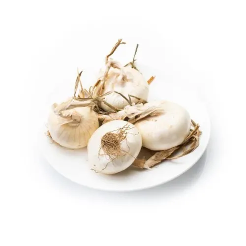 Лук репчатый Ялтинский белый 1гр