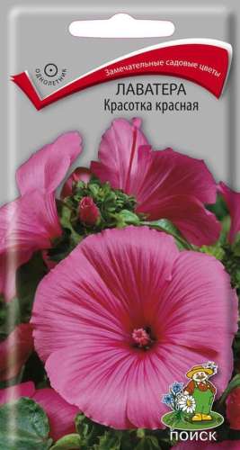 Лук декор круглоголовый (шт)