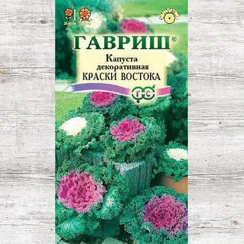 Капуста декоративная Краски Востока
