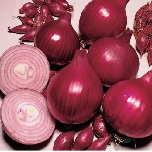 Лук репчатый Кармен 0,5-1гр