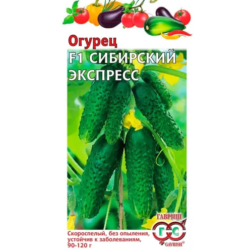Огурец Сибирский экспресс