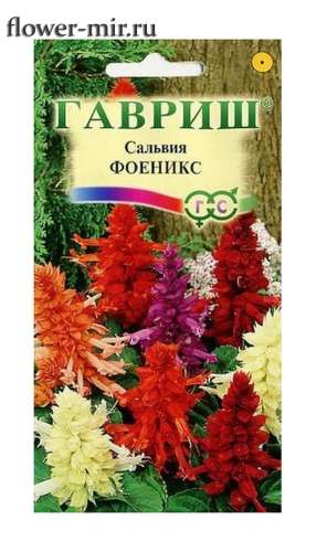 Сальвия Феникс 0,05гр