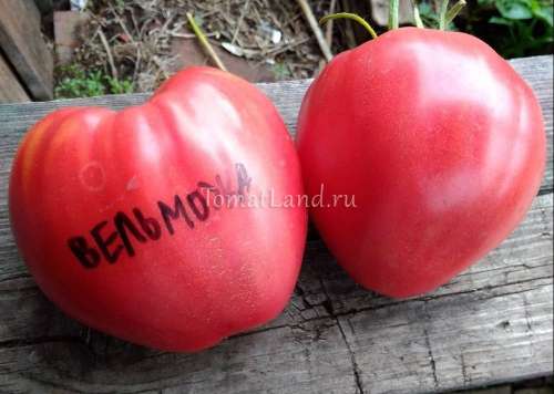 Томат Вишня красная 0,1гр