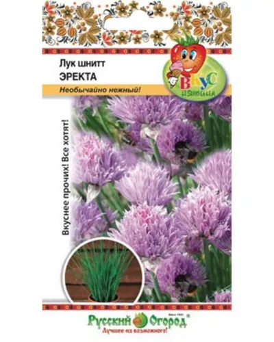 Лук шнитт Чемал 0,5гр