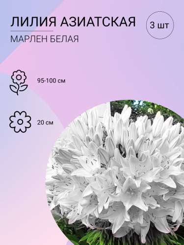 Лилия Мапира