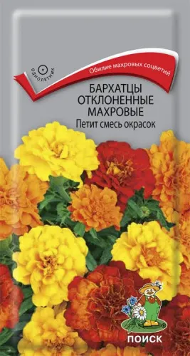 Бархатцы Петит Смесь окрасок откл. махровые