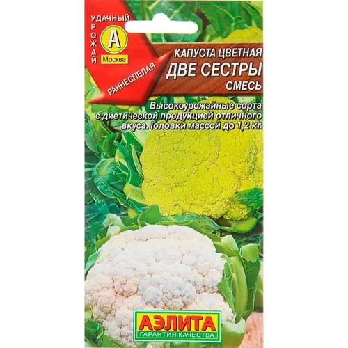 Капуста цветная Две сестры