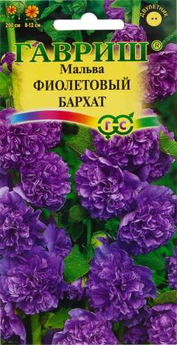 Маргаритка Весна заснеженная