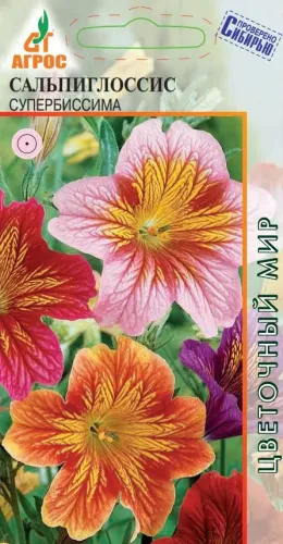 Сальпиглоссис Супербиссима