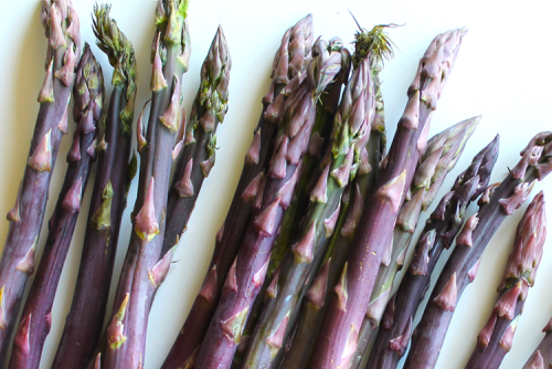 Спаржа Фиолетовая 0,5г