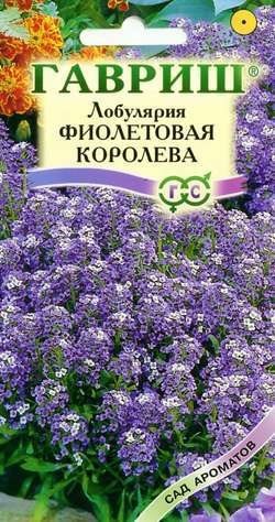 Лобулярия Снежный ковер, морская 0,05гр
