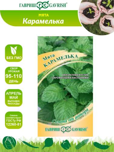 Мята Флорентина 0,05гр