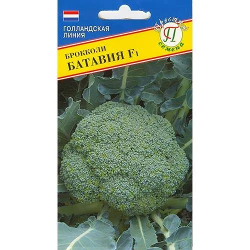 Капуста брокколи Батавия 10шт ВС