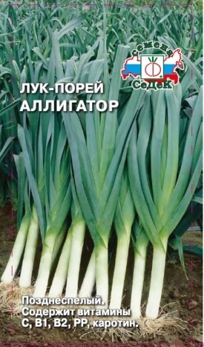 Лук порей Аллигатор