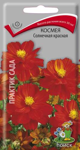 Космея Морские ракушки смесь 0,3гр