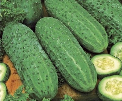 Свекла Бикорес 3гр