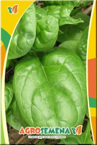 Лейка 5л оцинк.