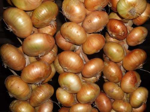 Спасатель Огурец 3 амп