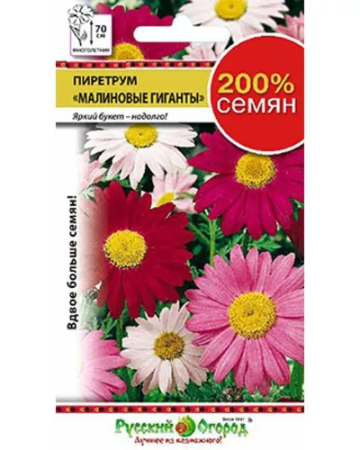 Пиретрум Малиновые Гиганты 0,4гр