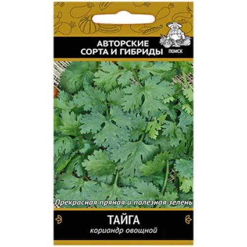 Кориандр Тайга