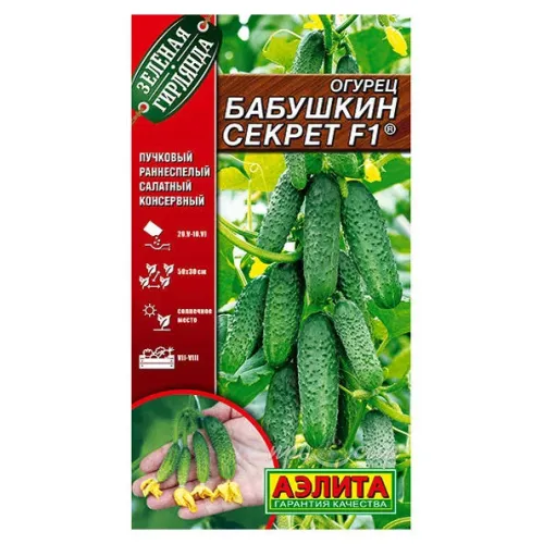Огурец Тещин секрет