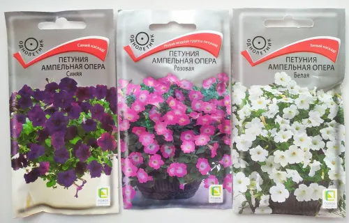 Петуния Балконная Розовая