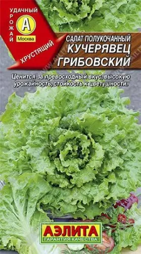 Салат Кучерявец Сибирский 0,3г