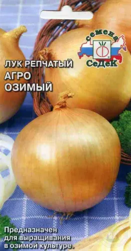 Лук репчатый Метелица озимый