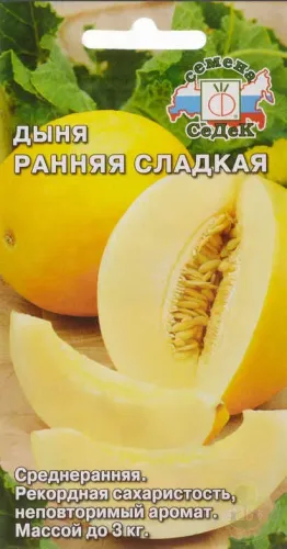 Дыня Ранняя Сладкая