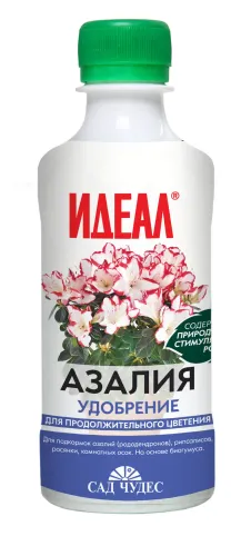 Азалия 0,25л