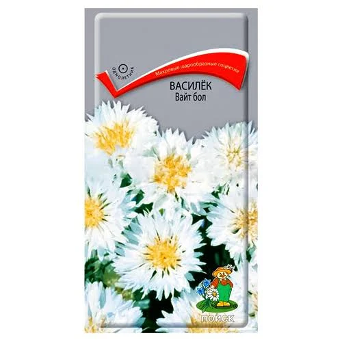 Василек Вайт Бол