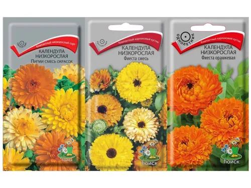 Календула Пигми Смесь окрасок низ.