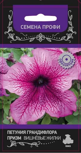 Петуния Призм Вишневые жилки грандифлора 30шт