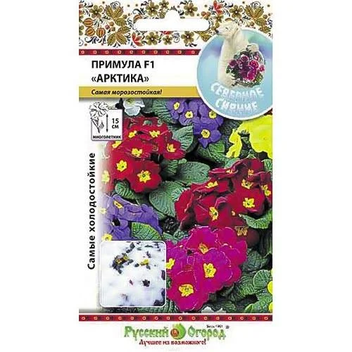 Примула Арктика 5шт