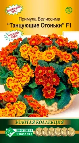 Примула Джульетта,смесь