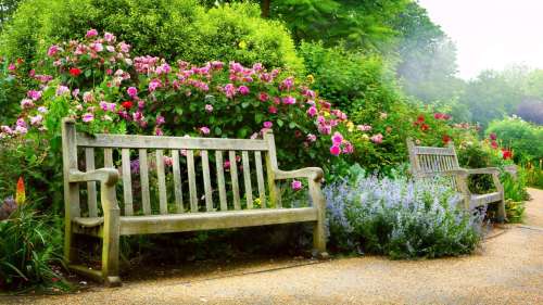 Микрозелень Индау мини 10гр