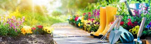 Микрозелень Лук батун микс 5гр